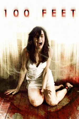 100 Feet (2008) 100 ฟุต เขตผีกระชากวิญญาณ หนังคุณภาพ HD