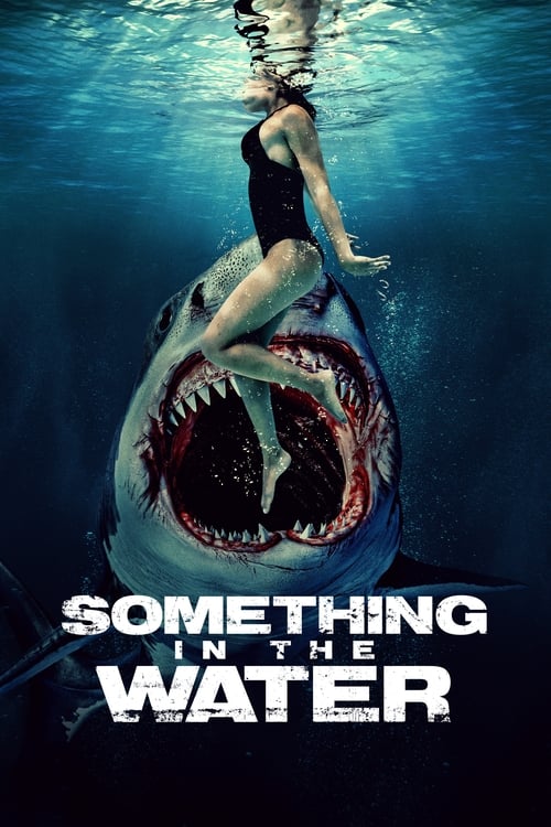 Something in the Water (2024) ครีบขย้ำคลั่งมหาสมุทร | พากย์ไทย HD